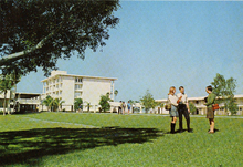 fau_82028-Thumbnail Image.jpg