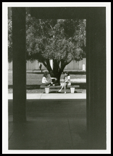 fau_82055-Thumbnail Image.jpg