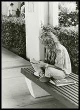 fau_82063-Thumbnail Image.jpg