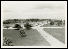 fau_82072-Thumbnail Image.jpg