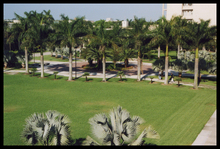 fau_82073-Thumbnail Image.jpg