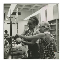 fau_82167-Thumbnail Image.jpg