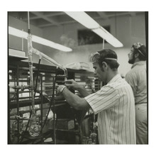 fau_82174-Thumbnail Image.jpg