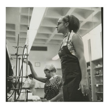 fau_82175-Thumbnail Image.jpg