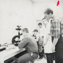 fau_82181-Thumbnail Image.jpg