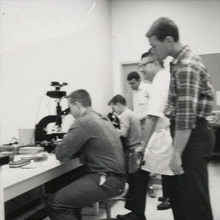 fau_82182-Thumbnail Image.jpg