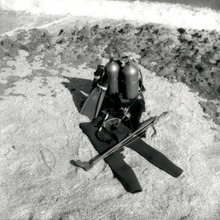 fau_82206-Thumbnail Image.jpg