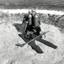 fau_82209-Thumbnail Image.jpg