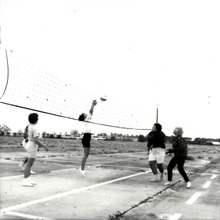 fau_82210-Thumbnail Image.jpg