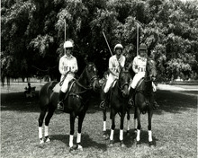 fau_82211-Thumbnail Image.jpg