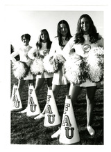 fau_82215-Thumbnail Image.jpg