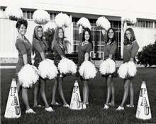 fau_82216-Thumbnail Image.jpg