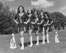 fau_82217-Thumbnail Image.jpg