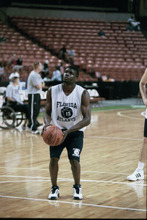 fau_82238-Thumbnail Image.jpg