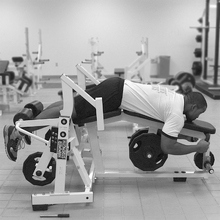 fau_82411-Thumbnail Image.jpg