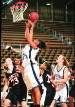 fau_82418-Thumbnail Image.jpg