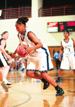 fau_82423-Thumbnail Image.jpg