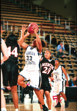 fau_82425-Thumbnail Image.jpg