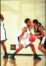 fau_82428-Thumbnail Image.jpg