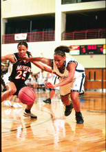 fau_82429-Thumbnail Image.jpg