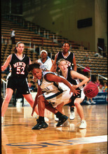 fau_82433-Thumbnail Image.jpg