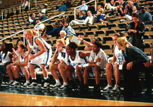 fau_82459-Thumbnail Image.jpg