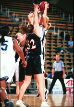 fau_82493-Thumbnail Image.jpg