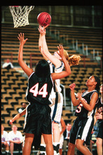 fau_82501-Thumbnail Image.jpg