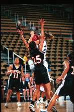 fau_82506-Thumbnail Image.jpg