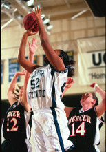 fau_82510-Thumbnail Image.jpg