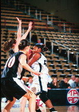 fau_82513-Thumbnail Image.jpg