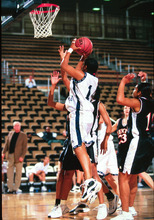 fau_82519-Thumbnail Image.jpg