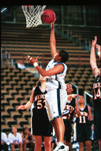 fau_82530-Thumbnail Image.jpg