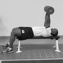 fau_82564-Thumbnail Image.jpg