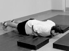 fau_82579-Thumbnail Image.jpg