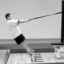 fau_82583-Thumbnail Image.jpg