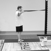 fau_82593-Thumbnail Image.jpg