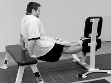 fau_82606-Thumbnail Image.jpg