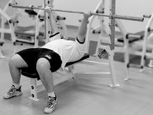 fau_82610-Thumbnail Image.jpg