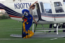 fau_82679-Thumbnail Image.jpg