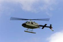 fau_82683-Thumbnail Image.jpg