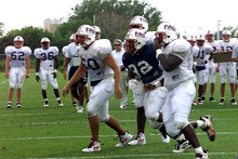 fau_82693-Thumbnail Image.jpg