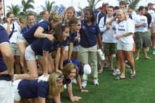 fau_82705-Thumbnail Image.jpg