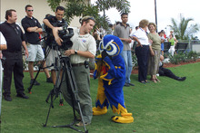 fau_82708-Thumbnail Image.jpg