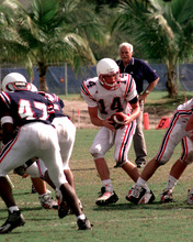 fau_82772-Thumbnail Image.jpg