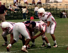 fau_82774-Thumbnail Image.jpg