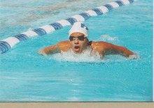 fau_82784-Thumbnail Image.jpg