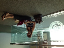 fau_82786-Thumbnail Image.jpg