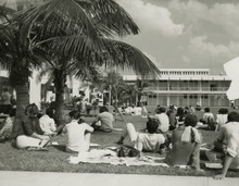 fau_82796-Thumbnail Image.jpg