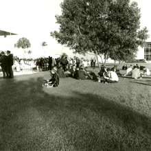 fau_82812-Thumbnail Image.jpg